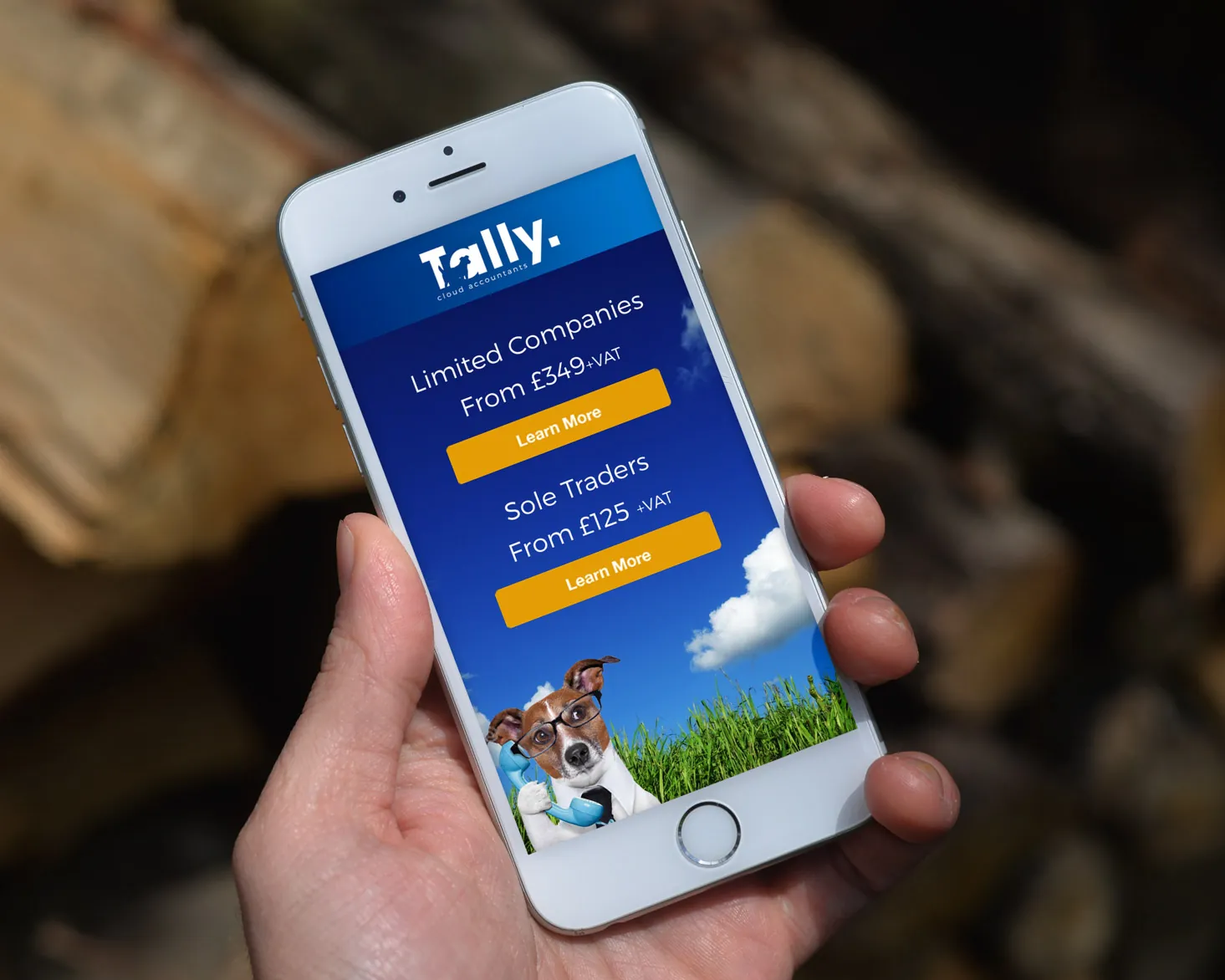 Tally on mobile — Tally